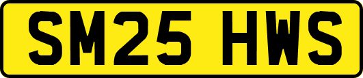 SM25HWS