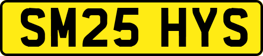 SM25HYS