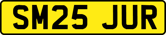 SM25JUR