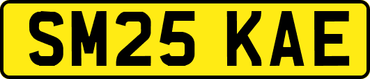 SM25KAE