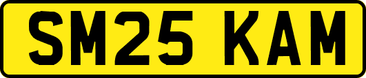 SM25KAM