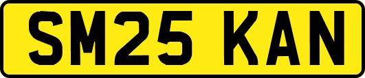 SM25KAN