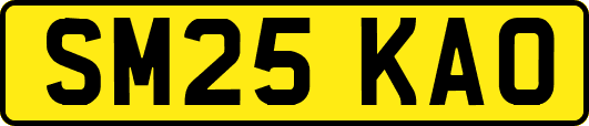 SM25KAO