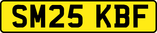 SM25KBF