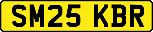 SM25KBR