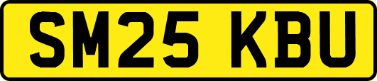 SM25KBU