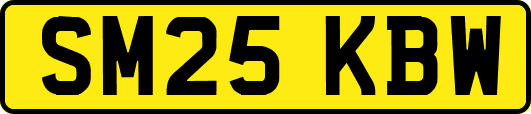 SM25KBW