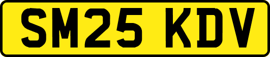 SM25KDV