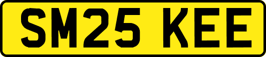 SM25KEE