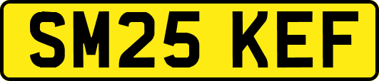 SM25KEF