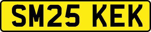 SM25KEK