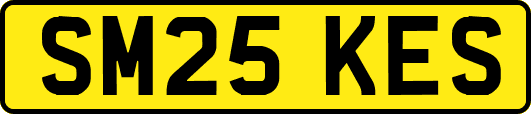 SM25KES