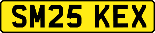 SM25KEX