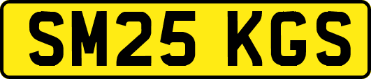 SM25KGS