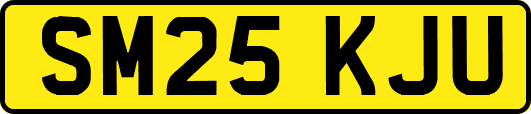 SM25KJU