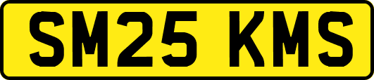 SM25KMS