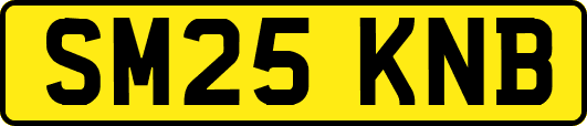 SM25KNB