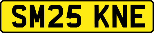 SM25KNE