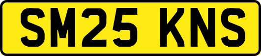 SM25KNS