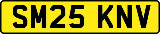 SM25KNV