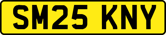 SM25KNY
