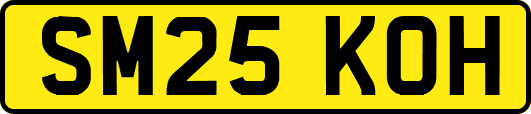 SM25KOH