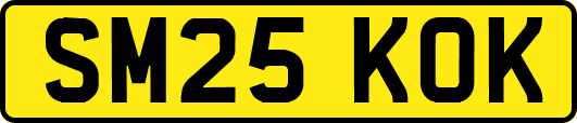 SM25KOK