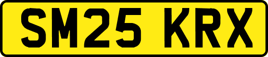 SM25KRX