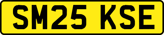 SM25KSE