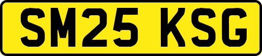 SM25KSG