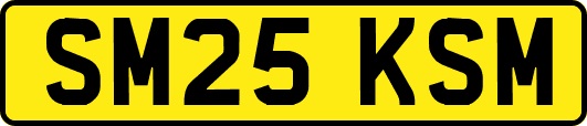 SM25KSM