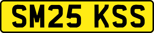 SM25KSS