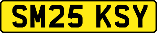 SM25KSY