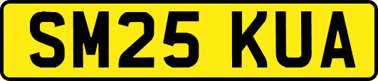 SM25KUA