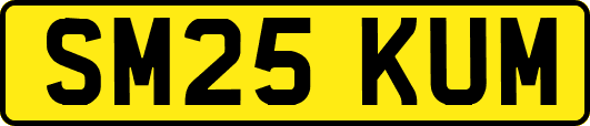 SM25KUM