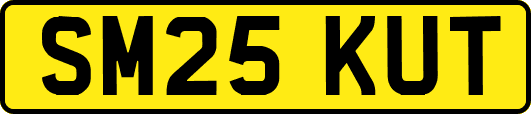 SM25KUT