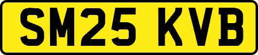 SM25KVB