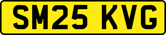 SM25KVG