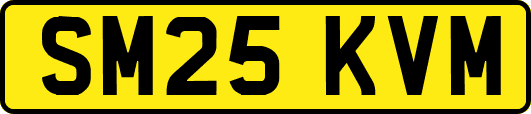 SM25KVM