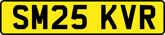 SM25KVR