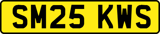 SM25KWS