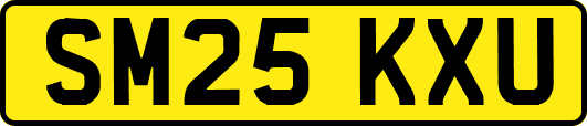 SM25KXU