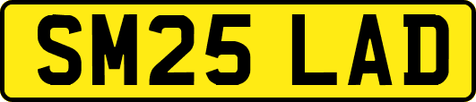 SM25LAD