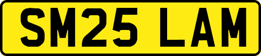SM25LAM