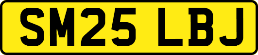 SM25LBJ