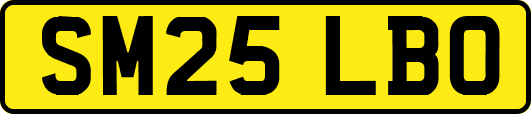 SM25LBO