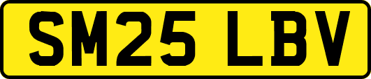 SM25LBV