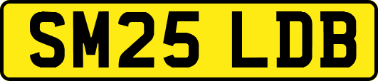 SM25LDB