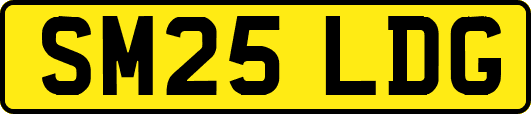 SM25LDG