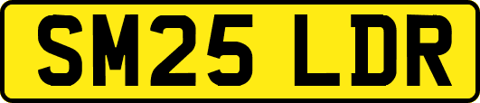 SM25LDR